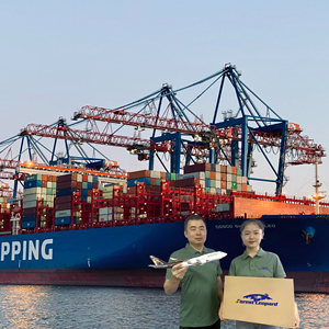 Spedizioniere Marittimo Cinese, Agente di Spedizione, Tariffe da Ningbo, Guangzhou, Xiamen verso USA/Canada/Australia/<span class=keywords><strong>Germania</strong></span>/Regno Unito/<span class=keywords><strong>Messico</strong></span> - Product Image 6