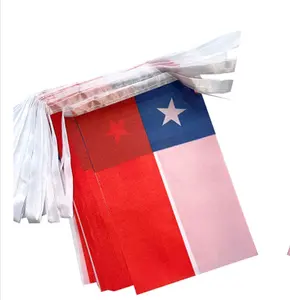 outdoor indoor for Chile Chilean Flag Banner String Small Mini Chile Pennant flags