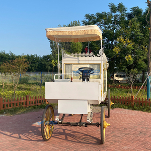 รถศพไฟฟ้าสุดหรูระดับพรีเมียมสำหรับงานศพ - Product Image 5