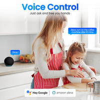 Prise intelligente Zigbee 16A EU Wi-Fi compatible Alexa Google Home, application Tuya, contrôle à distance, moniteur d'énergie, prise électrique en plastique