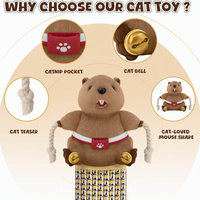 Nouveauté 2026 : Jouet pour chat de haute qualité, marionnette à main en peluche, gant de lutteur, jouets interactifs durables à mâcher pour chats et chiens avec corde