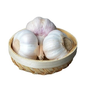 批发新鲜大蒜中国产地供应商低价大蒜来自中国制造的Ajo壁画 - Product Image 2