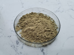 중국 공장 인센 공급 좋은 품질의 천연 녹색 커피 콩 추출물 - Product Image 3