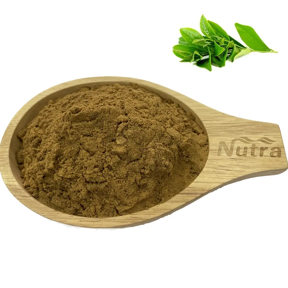 Hot sell Organic Green Tea Extract Polyphenol 90% 98% L-Theanine 20% 50% EGCG 50% 99%