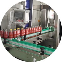 Ligne de production de machines pour la fabrication de purée, de pulpe, de jus, de sauce, de ketchup et de confiture de tomates et mangues à prix d'usine
