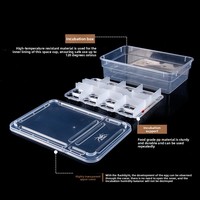 Boîte d'incubation rectangulaire en plastique pour reptiles (tortues, geckos, lézards, caméléons) - Incubateur d'œufs et plateau d'élevage