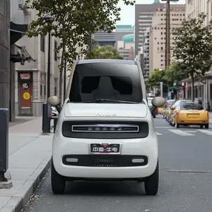 Quadricycle électrique fermé à 2 portes et 2 places, mini voiture électrique EV avec certificat EEC COC - Product Image 3
