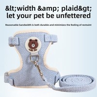 Harnais rétractable personnalisé pour chat et petit chien, motif ours mignon, anti-explosion, avec laisse de promenade