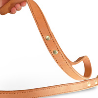 Echtes, umweltfreundliches, modisches, mattes Leder-Hundeleine und -halsband mit Bandverzierung für kleine Hunderassen