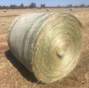 Nhựa lưới nông nghiệp Bale bọc Net phân hủy sinh học mạnh mẽ nhựa Pallet lưới - Product Image 6