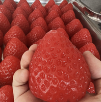 Jouet Squishy Fraise Réaliste en TPR, Jouet Anti-Stress Doux à Presser pour Cadeaux de Fête