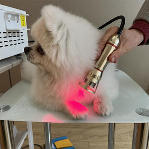 Perangkat <span class=keywords><strong>Laser</strong></span> terapi fisik dokter hewan portabel, peralatan terapi <span class=keywords><strong>Laser</strong></span> kelas 4 <span class=keywords><strong>LLLT</strong></span> 980nm 650 panjang gelombang 810nm untuk penggunaan badan - Product Image 4