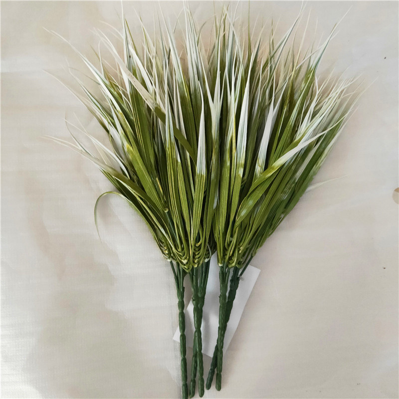 32cm onion grass white green