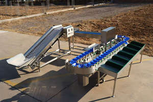 Dây chuyền chế biến cà chua Dây chuyền rửa rau Máy chế biến cà chua ngày - Product Image 6