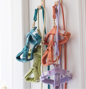 <span class=keywords><strong>2026</strong></span> डिजाइनर पालतू परिधान एक्सेसरीज थोक ठोस चमड़े के कुत्ते का उपयोग करते हुए पट्टे सेट ब्रेअवे कॉलर के लिए - Product Image 4