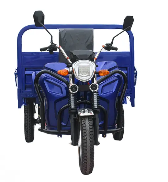 Potente triciclo eléctrico de 1000W, camión de carga para adultos, motocicleta de carga de tres ruedas
