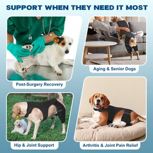 Supporto per Ginocchio Canino, Tutore Regolabile per Zampa Posteriore con 4 Stabilizzatori Metallici per Lesioni al LCA e CCL, Aiuta a Contenere la Rotazione della <span class=keywords><strong>Rotula</strong></span> - Product Image 5