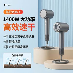 Hair Dryer High Speed Ionic Negative Ion DC Motor Constant Temperature Protection Home Use Quiet Operation European Standard - Product Image 2