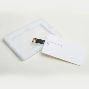 Business Gift Custom Logo USB 2.0 Memory Credit Card USB Flash Drive with Plastic Case