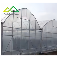 Polyethyleenfolie Gotische Multi-Span Grote Landbouwkas Kit |   Turnkey commerciële groente- en bessenkweek met hoge opbrengst