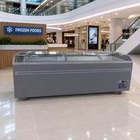 Congelador Horizontal Comercial con Puertas de Vidrio de Empuje y Tracción, Enfriamiento Directo, Control Digital y Descongelación Automática