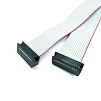 Usine personnalisée 450mm Micro Match 2*7P faisceau de câbles électriques 2.54Mm pas IDC 14Pin ruban câble plat PVC pour l'électronique