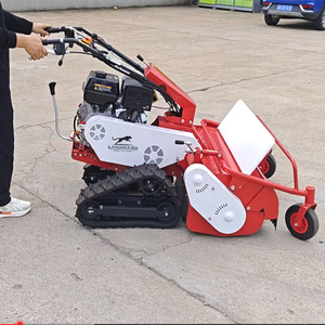 Cortadora de Césped Pequeña con Motor Propio para Jardín, Bajo Consumo de Combustible, Estilo Europeo - Product Image 5