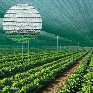 <span class=keywords><strong>Malla</strong></span> de Jardinería de PE Negra al 80%, Velas y Redes de Sombra para Invernaderos, Tela de Sombra para Invernaderos, Jardines y Agricultura - Product Image 1
