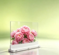 Pantalla OLED Transparente de 55 Pulgadas, Señalización Digital para Comercios, Publicidad Comercial, 4K Interactiva Táctil, CMS SDK, Personalización OEM ODM