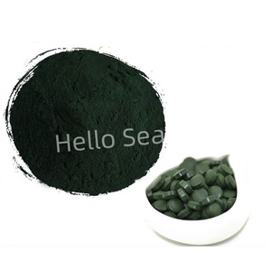 Poudre de Spiruline en Gros - Superaliment Végétalien Brut avec 60% de Protéines pour Compléments Alimentaires - Product Image 4