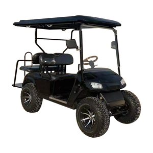 WELIFT-Carrito de golf eléctrico EW2028K, 60V/100Ah, 1-2 asientos con rango de 100km - Product Image 5