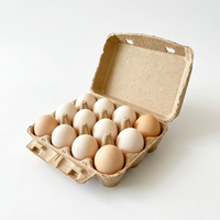 Boîte à œufs en pulpe de canne à sucre biodégradable pour 12 œufs, emballage écologique et dégradable pour l'agriculture et la vente au détail