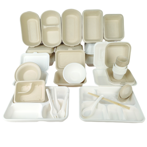 Eco Food Packaging Boxes Biodegradable 850ml White Lunch Boxes With Lid Sugar Cane Bagasse To Go Disposable Bento Food Container