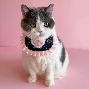 ผู้ผลิต OEM & ODM ขายส่ง: ผ้ากันน้ำลายสำหรับสัตว์เลี้ยงสไตล์เจ้าหญิง ลายหัวใจคลาสสิก เหมาะสำหรับแมวและสุนัข - Product Image 4