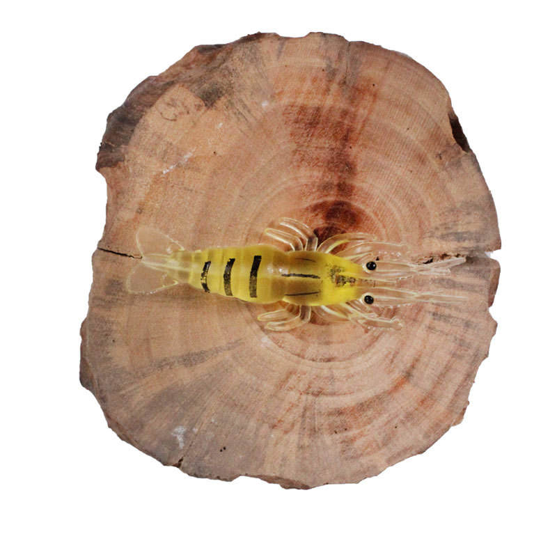 Colore A 10 pezzi/confezione