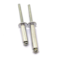 100 buah 6 ukuran aluminium Blind paku keling bermacam-macam Kit 3/16 "X (5/16" 3/8 "1/2" 5/8 "3/4" 1 ") (perak)