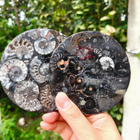 Décoration d'intérieur bohème, plaque d'ammonite noire, pierre de guérison Reiki, cadeau géologique, disque d'ammonite avec support