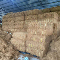 Machine efficace d'extraction de fibres de noix de coco, décortiqueuse/défibreuse de coques de noix de coco, extracteur de fibres de coco