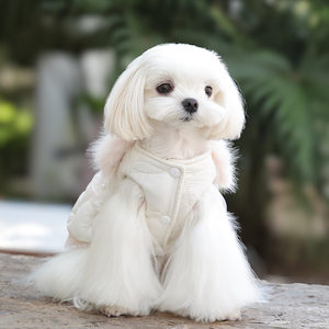 Exquisite Delicate Small Dog Miniature Pinscher <strong>French</strong> <strong>Bulldog</strong> Papillon Winter Clothes <strong>Coats</strong> and Accessories for Pet Gift Wear - Product Image 2