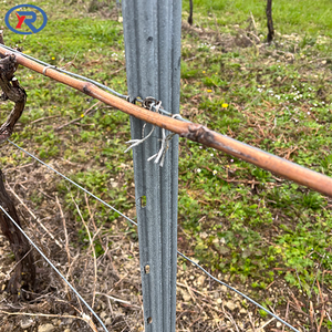 Poste de metal <span class=keywords><strong>para</strong></span> viñedo de 2.4m con ganchos, alta resistencia y tenacidad, <span class=keywords><strong>para</strong></span> viñedos de uva. - Product Image 4