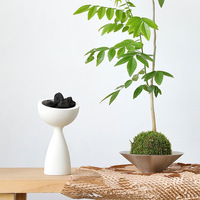 Pot de fleurs en ciment ultra-mince moderne, design artistique, diffuseur de pierre, récipient pour plantes aériennes, boule de mousse, décoration de bureau