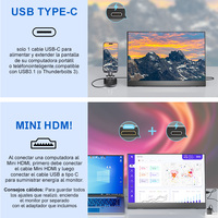 Monitor Portátil Táctil de 14 Pulgadas FHD 1080P IPS Tipo C HD con Soporte Ajustable para Laptop y Teléfono OEM ODM