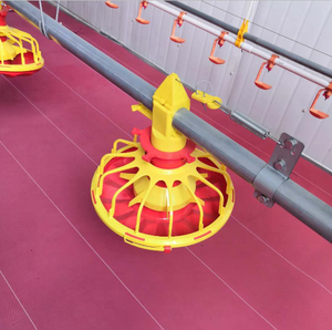 Hoàn Toàn Tự Động Gà Thịt Ăn Và Uống Dòng Máy Móc - Product Image 4