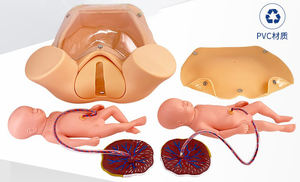 Modelo de <span class=keywords><strong>curso</strong></span> de entrega Demostración de parto Simulador de maniquí Modelo de Enfermería de parto - Product Image 3