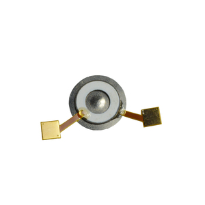 Atomizzatore Piezoelettrico Ultrasonico Microporoso 13.8mm 150KHZ Trasduttore Atomizzatore - Product Image 1