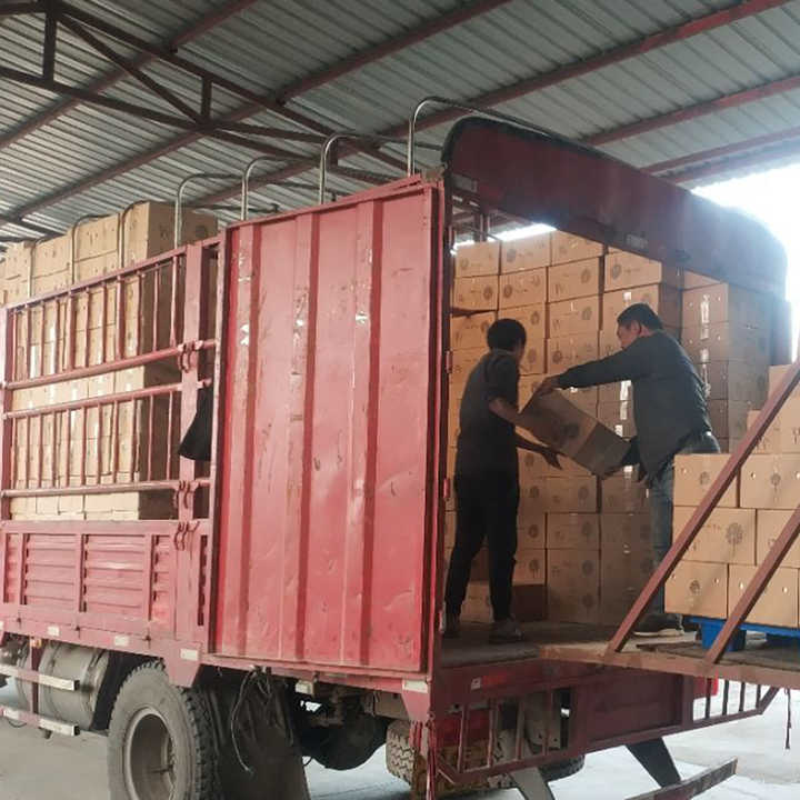 Wholesale Bulk Fresh Fruits Sweet Fuji Apple