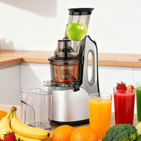 Eenvoudig Te Bedienen Automatische Thuis Multifunctionele Lage Snelheid Vers Fruit Juicer