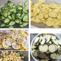 Commerciële roestvrijstalen plantainsnijmachine, bananenchips-snijder, aardappel-, groente- en fruitsnijder voor voedselproductielijn
