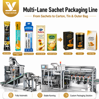 Machine d'emballage automatique multi-voies pour poudre de boisson électrolytique en stick