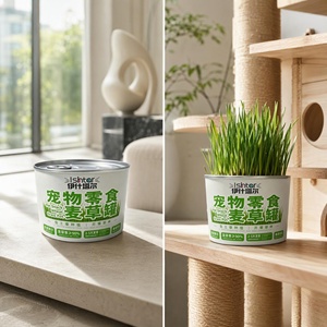 Vaso di erba idroponica per gatti senza terriccio, in composito carta-alluminio, per supporto contro le bole di pelo nei gatti, con 2 anni di conservazione - Product Image 6